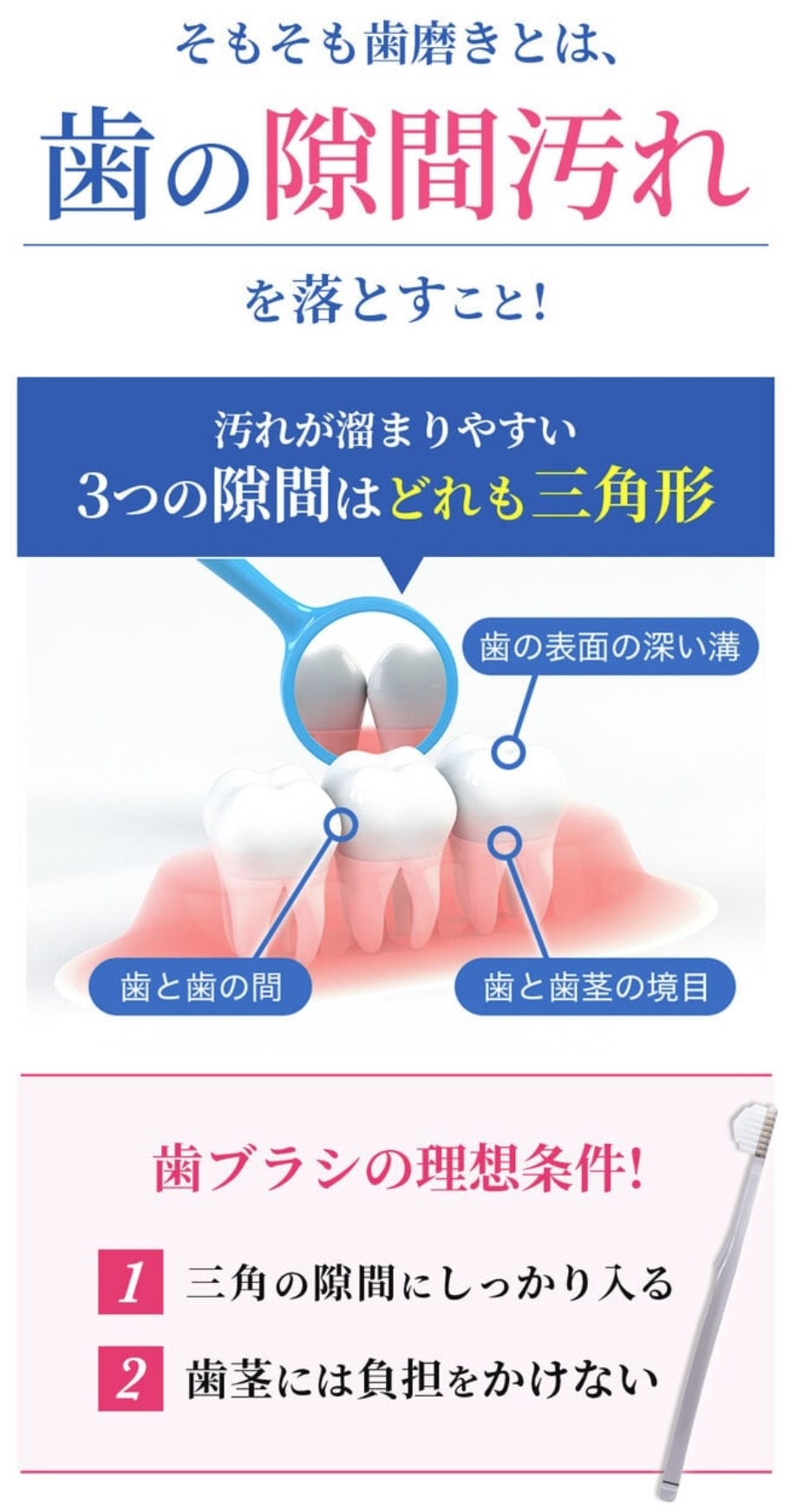 そもそも歯磨きとは