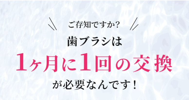 歯ブラシは月に1回交換